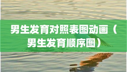 男生发育对照表图动画（男生发育顺序图）
