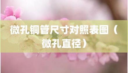 微孔铜管尺寸对照表图（微孔直径）