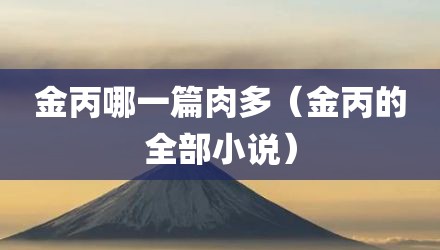 金丙哪一篇肉多（金丙的全部小说）