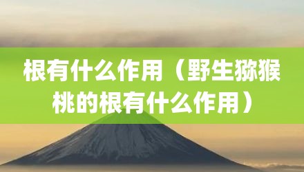 根有什么作用（野生猕猴桃的根有什么作用）