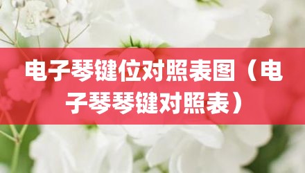 电子琴键位对照表图（电子琴琴键对照表）