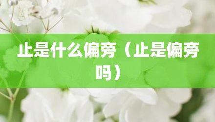 止是什么偏旁（止是偏旁吗）