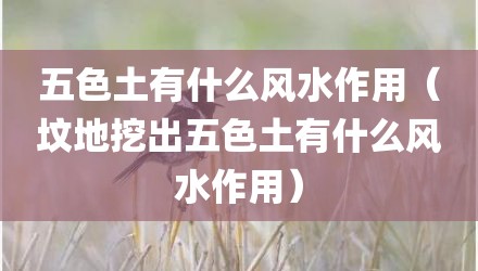 五色土有什么风水作用（坟地挖出五色土有什么风水作用）