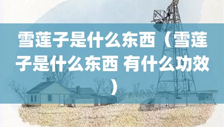 雪莲子是什么东西（雪莲子是什么东西 有什么功效）