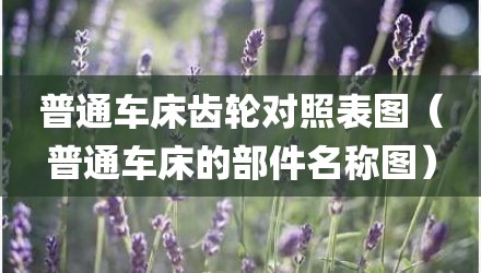 普通车床齿轮对照表图（普通车床的部件名称图）