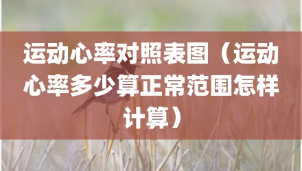 运动心率对照表图（运动心率多少算正常范围怎样计算）