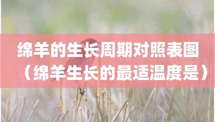绵羊的生长周期对照表图（绵羊生长的最适温度是）