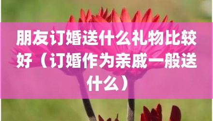 朋友订婚送什么礼物比较好（订婚作为亲戚一般送什么）