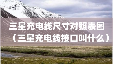 三星充电线尺寸对照表图（三星充电线接口叫什么）