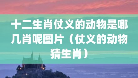 十二生肖仗义的动物是哪几肖呢图片(仗义的动物猜生肖)