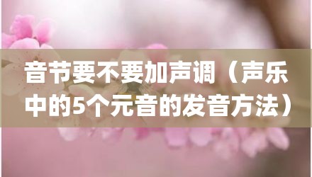 音节要不要加声调（声乐中的5个元音的发音方法）