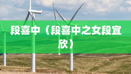 段喜中（段喜中之女段宜欣）