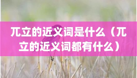 兀立的近义词是什么(兀立的近义词都有什么)