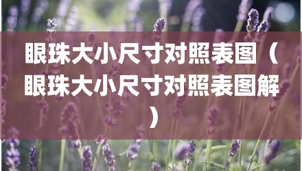 眼珠大小尺寸对照表图（眼珠大小尺寸对照表图解）