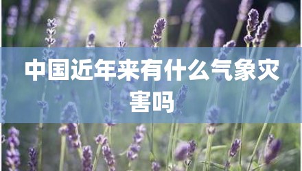 中国近年来有什么气象灾害吗