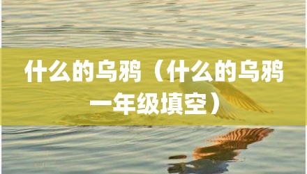 什么的乌鸦（什么的乌鸦一年级填空）