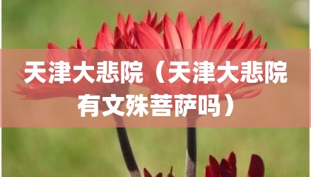 天津大悲院（天津大悲院有文殊菩萨吗）