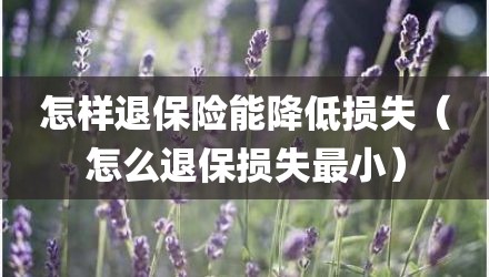 怎样退保险能降低损失(怎么退保损失最小)