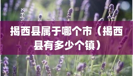 揭西县属于哪个市（揭西县有多少个镇）