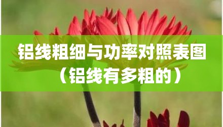 铝线粗细与功率对照表图（铝线有多粗的）