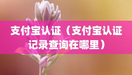 支付宝认证（支付宝认证记录查询在哪里）