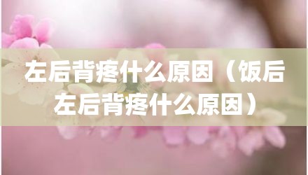左后背疼什么原因（饭后左后背疼什么原因）