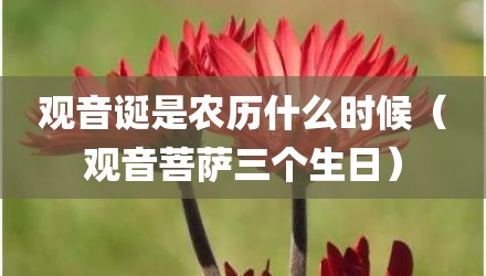 观音诞是农历什么时候（观音菩萨三个生日）