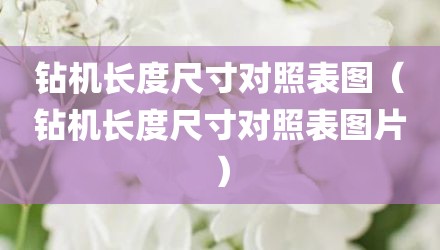 钻机长度尺寸对照表图（钻机长度尺寸对照表图片）