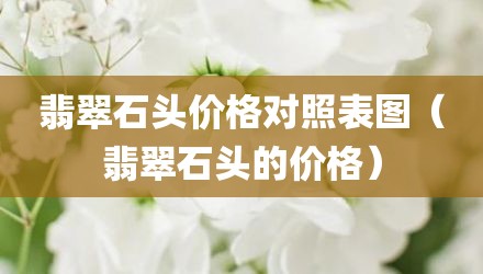 翡翠石头价格对照表图（翡翠石头的价格）