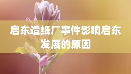 启东造纸厂事件影响启东发展的原因