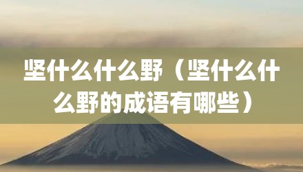 坚什么什么野（坚什么什么野的成语有哪些）