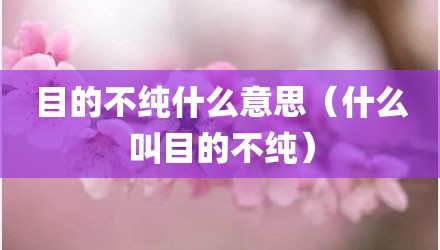 目的不纯什么意思（什么叫目的不纯）