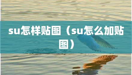 su怎样贴图(su怎么加贴图)