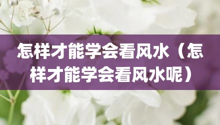 怎样才能学会看风水(怎样才能学会看风水呢)