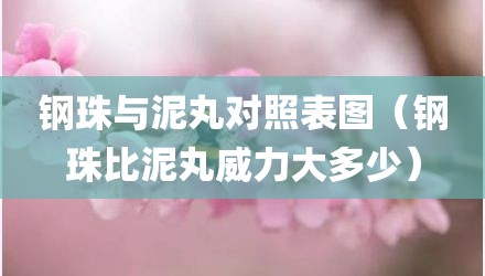 钢珠与泥丸对照表图（钢珠比泥丸威力大多少）