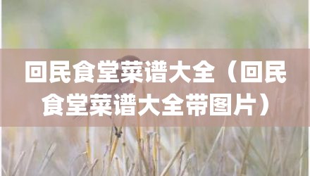 回民食堂菜谱大全（回民食堂菜谱大全带图片）