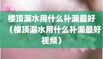 楼顶漏水用什么补漏最好（楼顶漏水用什么补漏最好视频）