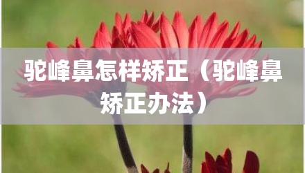 驼峰鼻怎样矫正（驼峰鼻矫正办法）