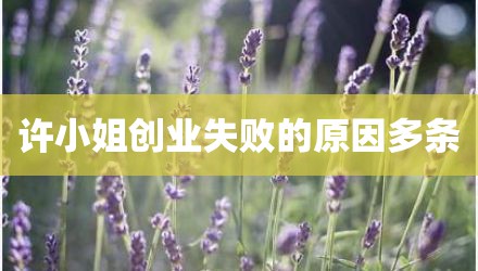 许小姐创业失败的原因多条