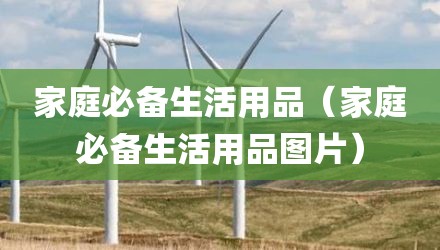 家庭必备生活用品（家庭必备生活用品图片）