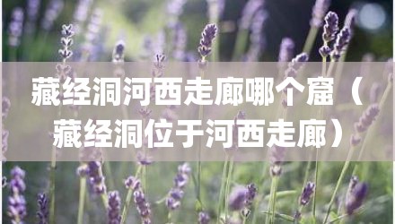藏经洞河西走廊哪个窟（藏经洞位于河西走廊）
