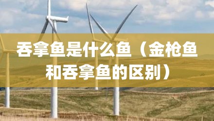 吞拿鱼是什么鱼（金枪鱼和吞拿鱼的区别）