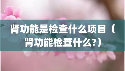 肾功能是检查什么项目（肾功能检查什么?）