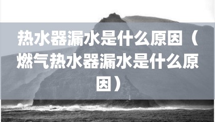 热水器漏水是什么原因（燃气热水器漏水是什么原因）