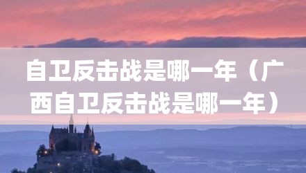 自卫反击战是哪一年（广西自卫反击战是哪一年）