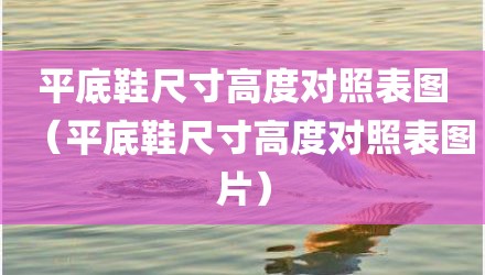 平底鞋尺寸高度对照表图（平底鞋尺寸高度对照表图片）