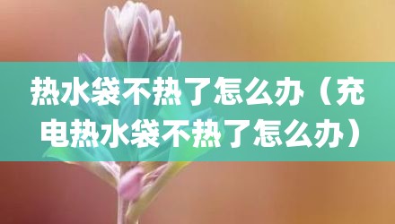 热水袋不热了怎么办（充电热水袋不热了怎么办）