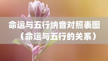 命运与五行纳音对照表图（命运与五行的关系）