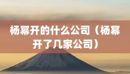 杨幂开的什么公司（杨幂开了几家公司）