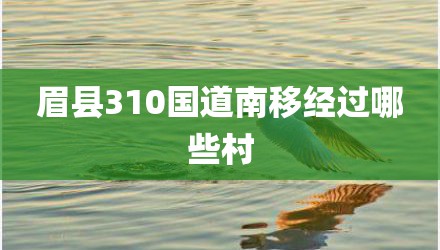 眉县310国道南移经过哪些村